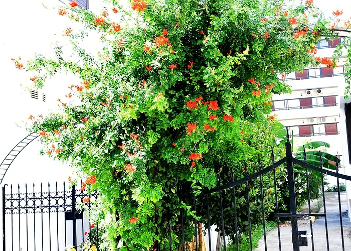 Aegeon - Adults Only